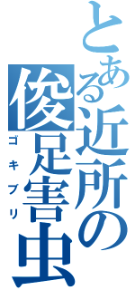 とある近所の俊足害虫（ゴキブリ）