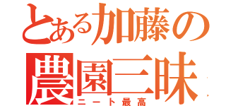 とある加藤の農園三昧（ニート最高）