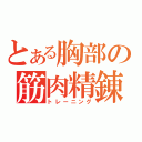 とある胸部の筋肉精錬（トレーニング）