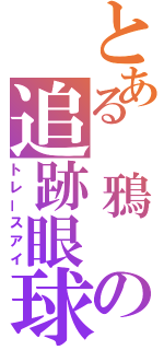 とある 鴉 の追跡眼球（トレースアイ）