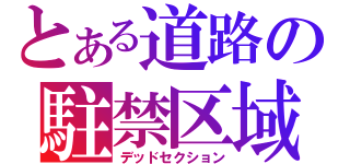 とある道路の駐禁区域（デッドセクション）