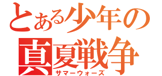 とある少年の真夏戦争（サマーウォーズ）