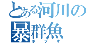 とある河川の暴群魚（ボブす）