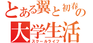 とある翼と初春飾利の大学生活（スクールライフ）