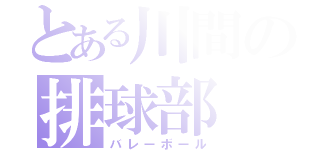 とある川間の排球部（バレーボール）