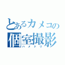 とあるカメコの個室撮影（ハメドリ）