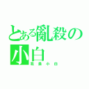 とある亂殺の小白（我是小白）