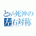 とある死神の左右対称（シンメトリー）