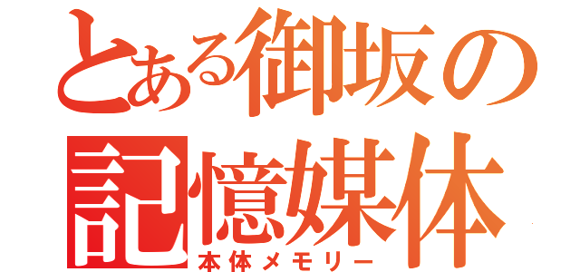 とある御坂の記憶媒体（本体メモリー）