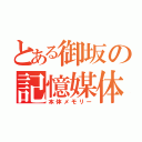 とある御坂の記憶媒体（本体メモリー）