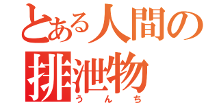 とある人間の排泄物（うんち）