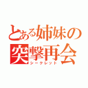 とある姉妹の突撃再会（シークレット）