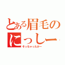 とある眉毛のにっしー（そっちゃったかー）