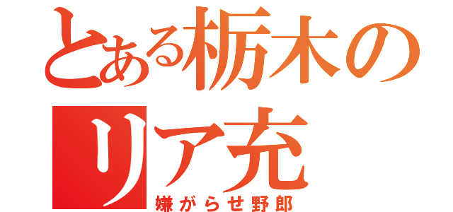 とある栃木のリア充（嫌がらせ野郎）