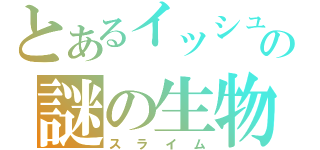 とあるイッシュの謎の生物（スライム）