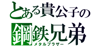 とある貴公子の鋼鉄兄弟（メタルブラザー）