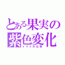 とある果実の紫色変化（トマトの日常）