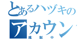 とあるハヅキのアカウント（規制中）