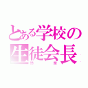 とある学校の生徒会長（怜奈）