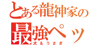 とある龍神家の最強ペット（犬＆うさぎ）