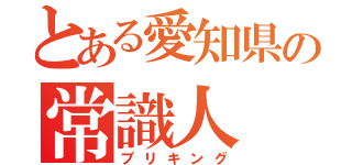 とある愛知県の常識人（ブリキング）