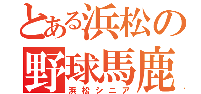 とある浜松の野球馬鹿（浜松シニア）