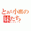 とある小鷹の妹たち（シスターズ）