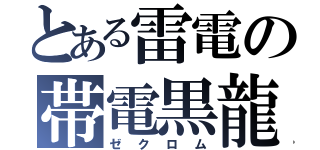 とある雷電の帯電黒龍（ゼクロム）