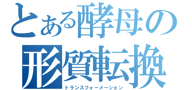 とある酵母の形質転換（トランスフォーメーション）