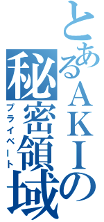 とあるＡＫＩの秘密領域（プライベート）