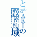 とあるＡＫＩの秘密領域（プライベート）