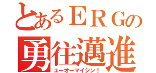 とあるＥＲＧの勇往邁進（ユーオーマイシン！）