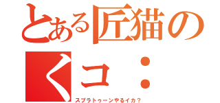 とある匠猫のくコ：（スプラトゥーンやるイカ？）