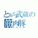 とある武蔵の筋肉豚（ただの豚）