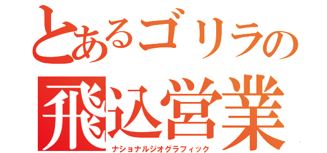 とあるゴリラの飛込営業（ナショナルジオグラフィック）