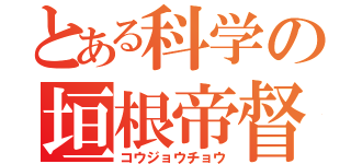 とある科学の垣根帝督（コウジョウチョウ）