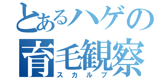 とあるハゲの育毛観察（スカルプ）