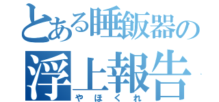 とある睡飯器の浮上報告（やほくれ）