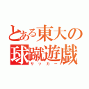 とある東大の球蹴遊戯（サッカー）