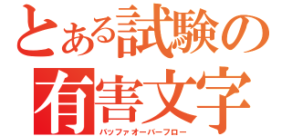 とある試験の有害文字（バッファオーバーフロー）