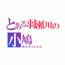 とある羽瀬川の小鳩（あんちゃぁぁん）