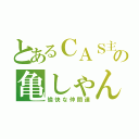 とあるＣＡＳ主の亀しゃん（愉快な仲間達）