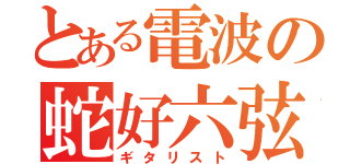 とある電波の蛇好六弦（ギタリスト）