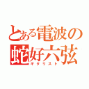 とある電波の蛇好六弦（ギタリスト）