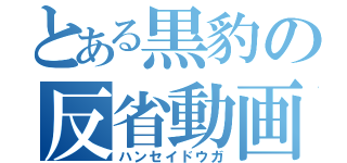 とある黒豹の反省動画（ハンセイドウガ）