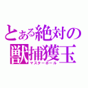 とある絶対の獣捕獲玉（マスターボール）