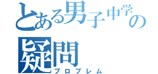 とある男子中学生の疑問（プロブレム）