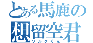 とある馬鹿の想留空君（ソルクくん）