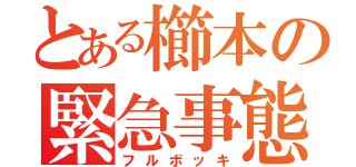 とある櫛本の緊急事態（フルボッキ）