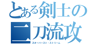 とある剣士の二刀流攻撃（スターバースト・ストリーム）